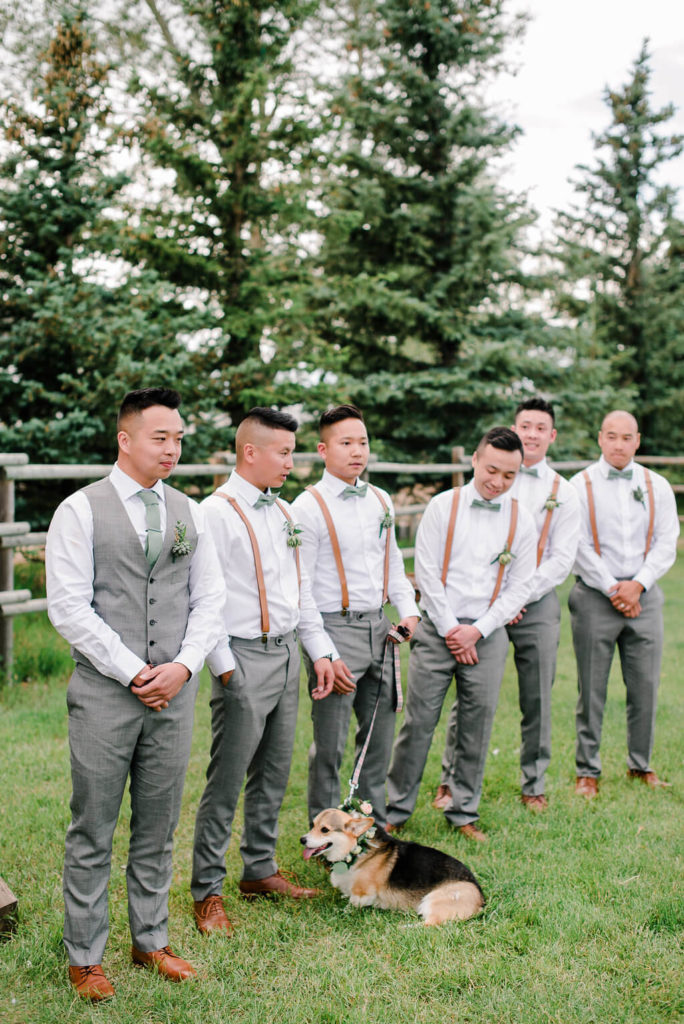 Clean crisp wedding tux with soft gray accents compete with a wedding dog! https://www.thegathered.ca