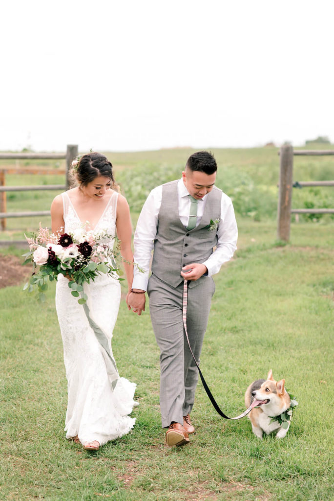 Corgi wedding dogs, adorable wedding puppies, flower wreath for dogs. https://www.thegathered.ca