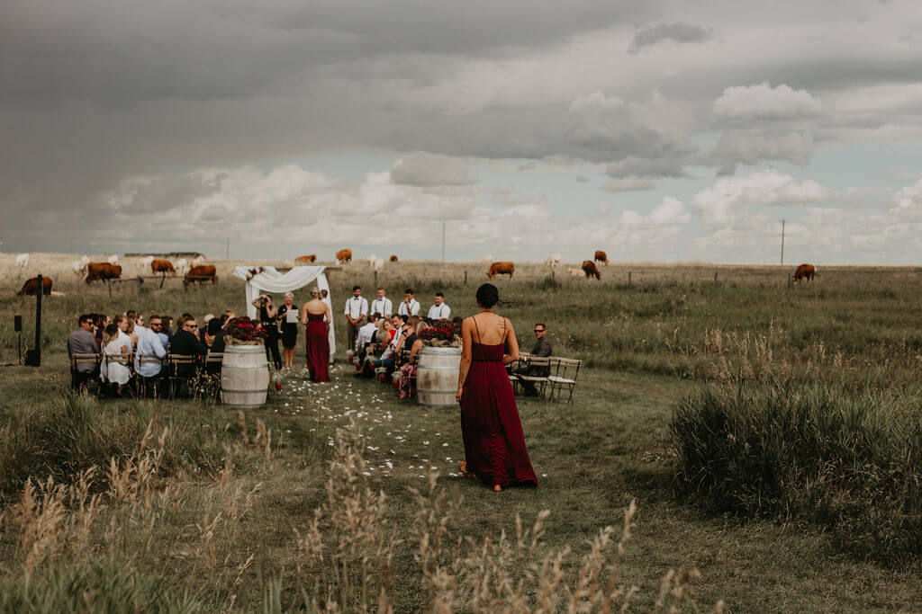prairie ceremony space with cows in the background and bridesmaids walking down the aisle