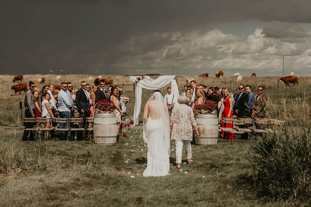 dark clouds loom over prairie ceremony space with cows in the background