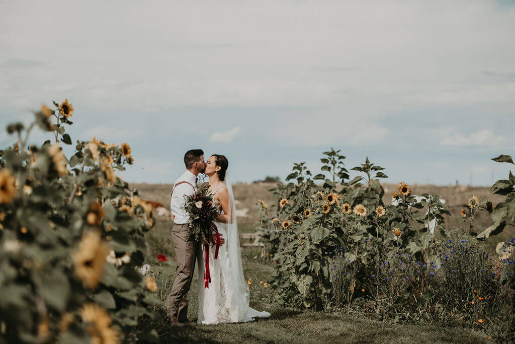 bride and groom kissing in a sunflower field with sunflowers on either side