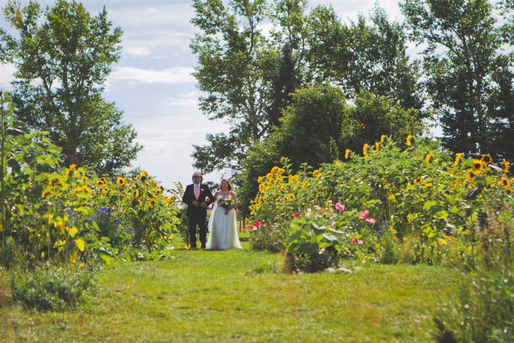 Bride and Father in coral wedding tie walking down the aisle surrounded by sunflowers, pink cosmos, bachelor buttons and other wild flowers. Weddings at The GATHERED in southern Alberta.