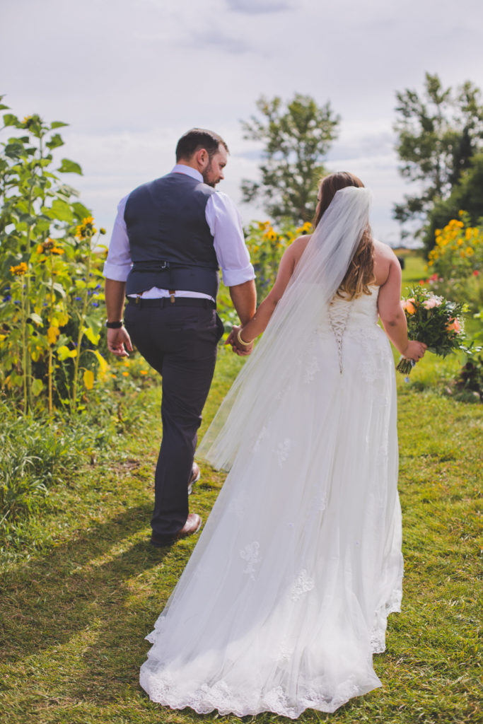 back of a couple after just getting married- walking down their aisle surrounded by sunflowers in the prairie Alberta weather. THe Gathered.