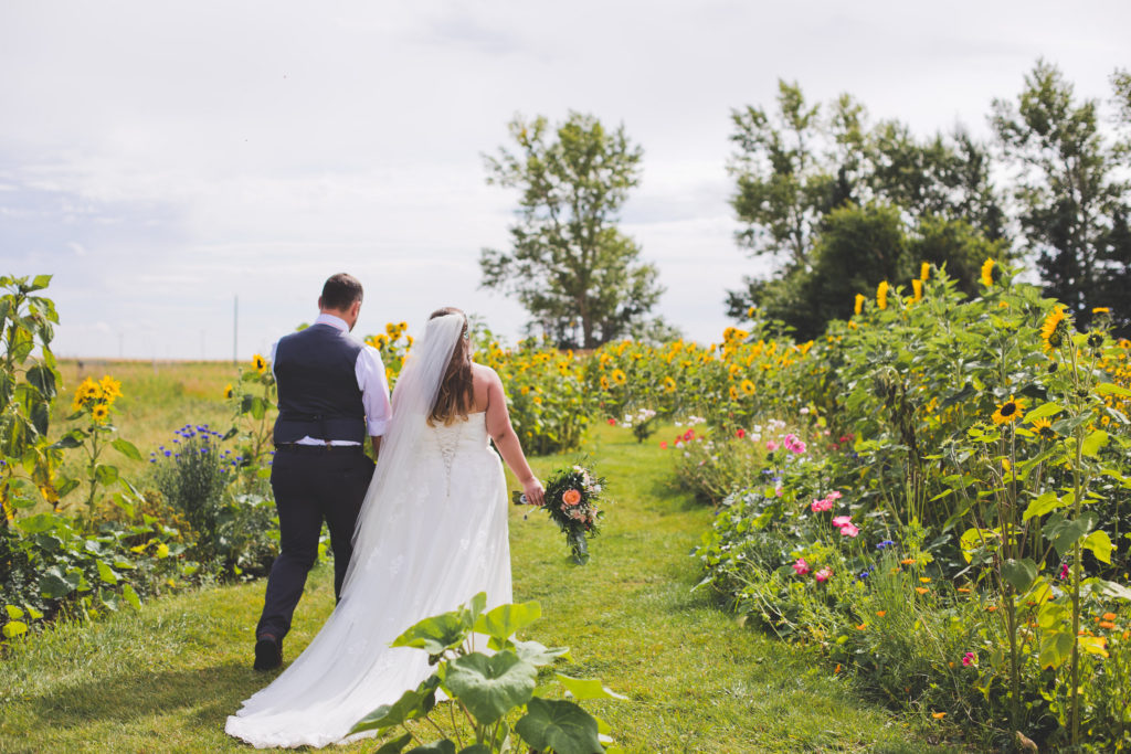 a couple walking down a grassy aisle surrounded by sunflowers, bright pink poppies, bachelor buttons and other wildflowers in Calgary, Alberta. The Gathered.