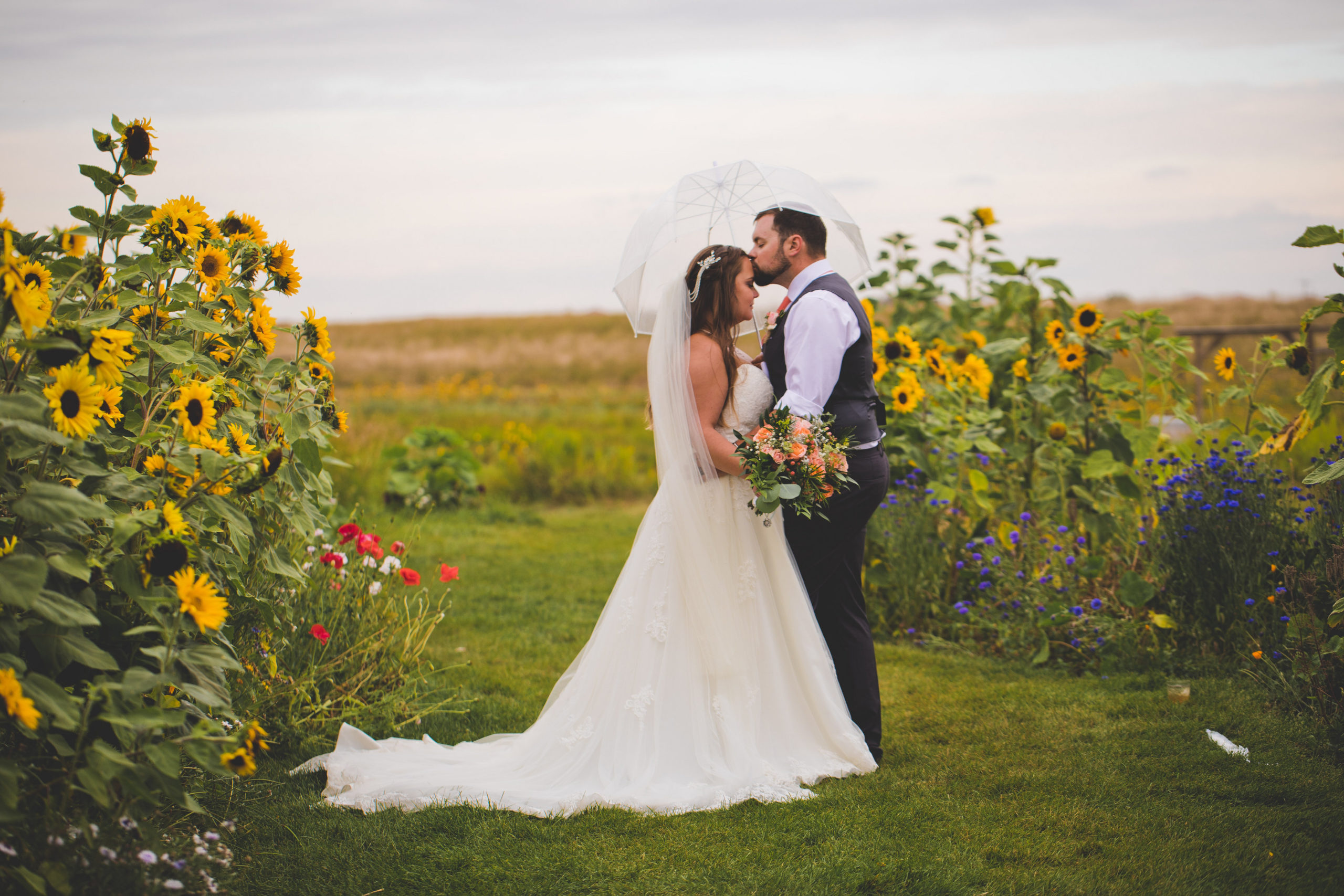 sunflowers and wild flowers line a grassy path and a bride and groom walk down it while they stare at each other. The Gathered, Calgary, Alberta