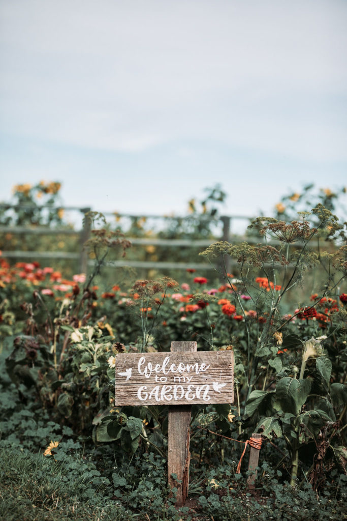 wooden sign that says welcome to the garden surrounded by bright colored zinnias, wild dill and sunflowers. www.thegathered.ca