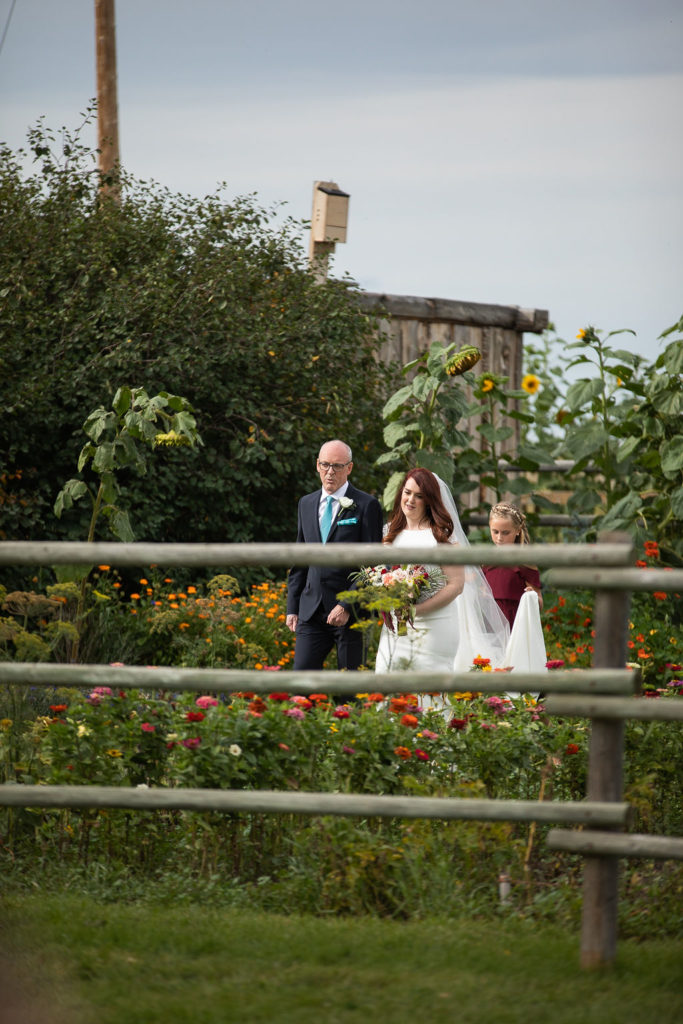 bride and father walking down a grassy floral path with wild flowers, green bushes and a farm fence surround them