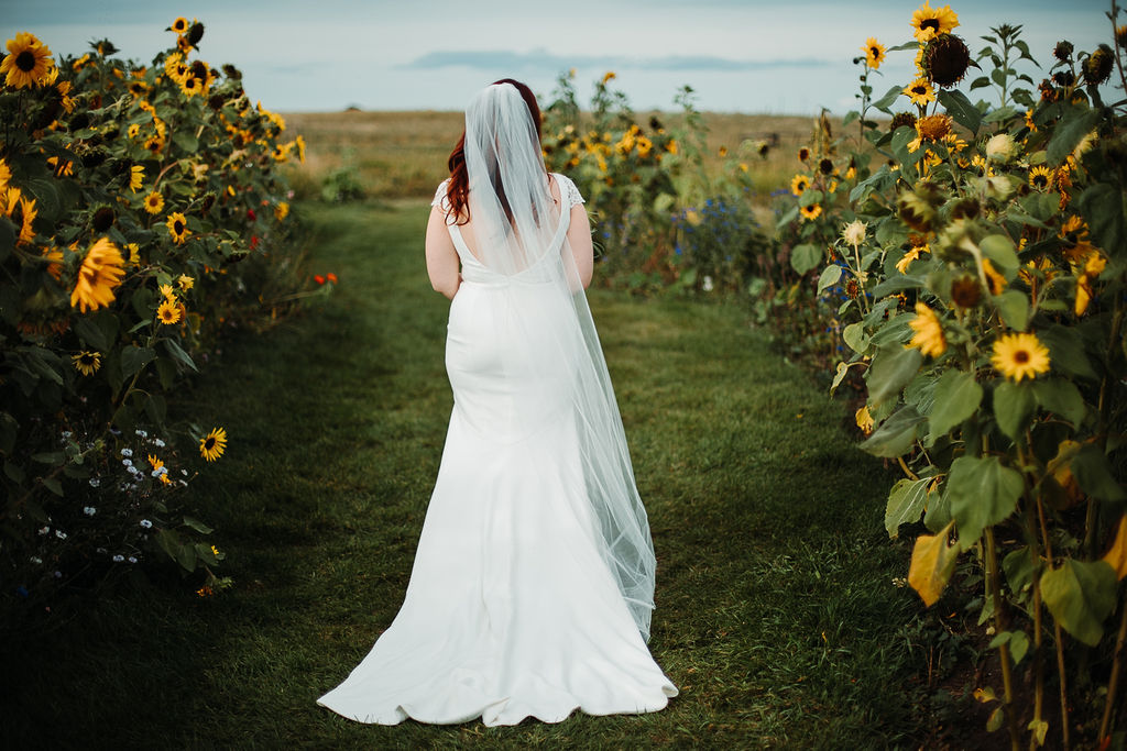 the back of a bride in a classic wedding dress and veil while she stands on a grassy path surrounded by yellow sunflowers. www.thegathered.ca