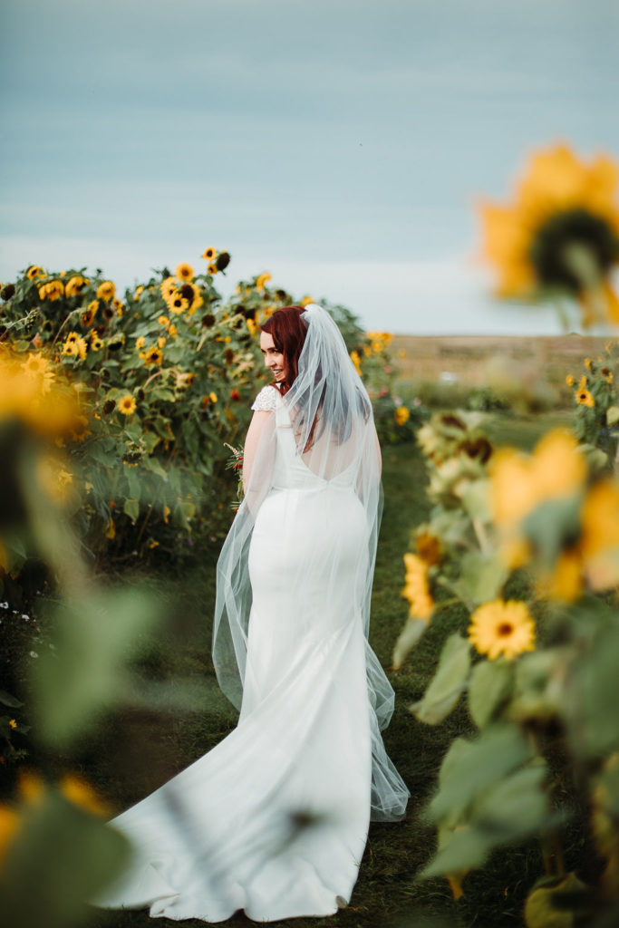 the back of a bride in a classic wedding dress and veil while she stands on a grassy path surrounded by yellow sunflowers. www.thegathered.ca
