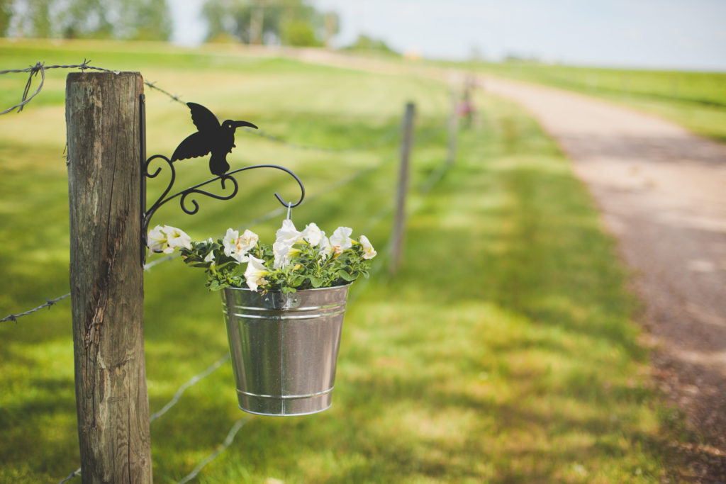 hanging white petunias in galvanized buckets hanging on a wood post