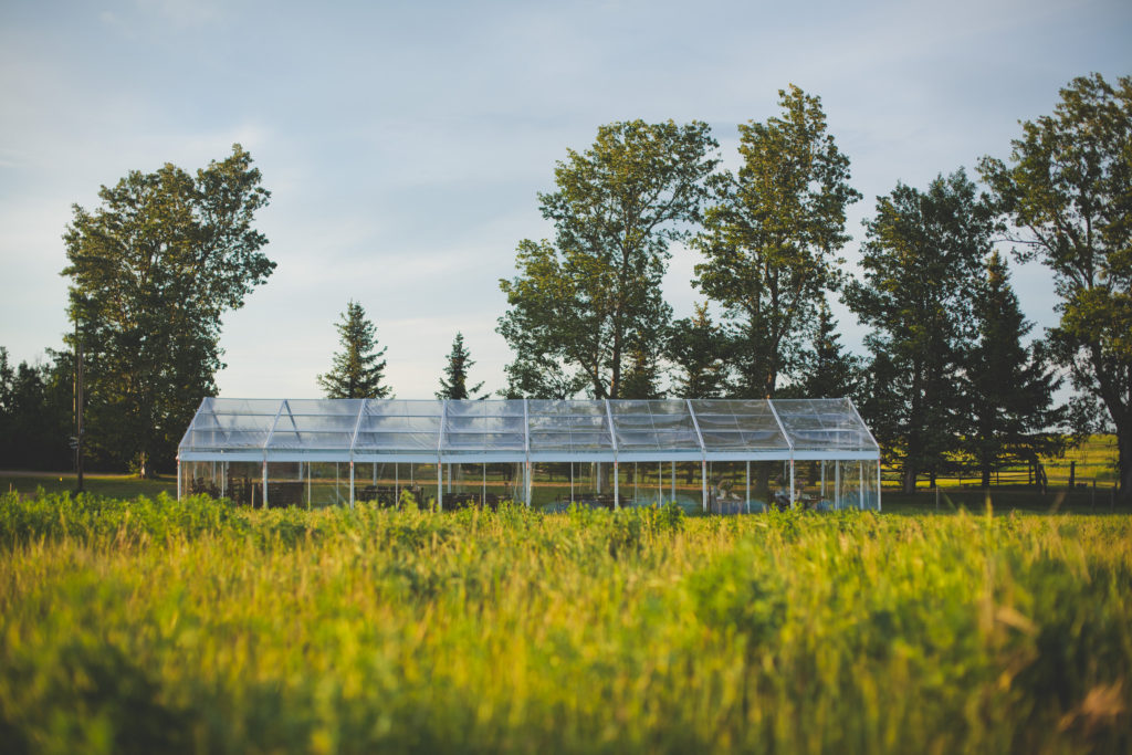 clear tent in a golden prairie field surrounded by large trees. www.thegathered.ca
