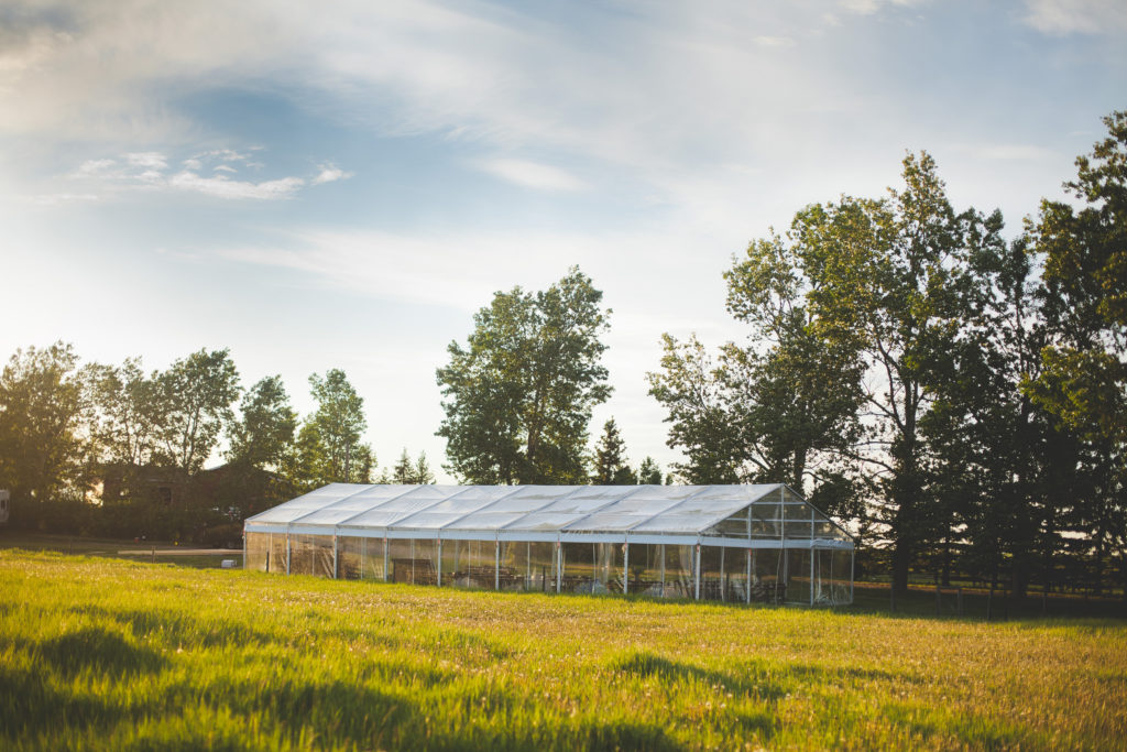 outdoor tent in a prairie field with the sun setting and large trees mingling about