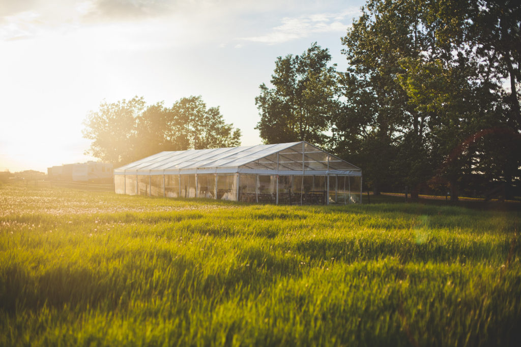outdoor clear wedding tent and event space at the gathered in alberta