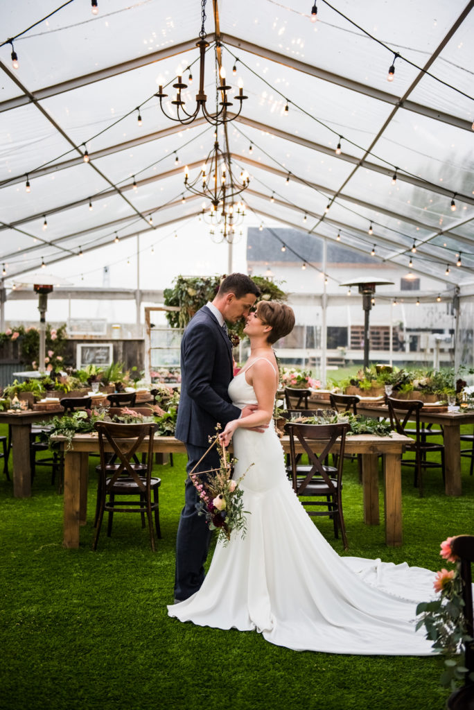 a couple standing in a clear tent decorated with greenery and posing with a lamb farm animal