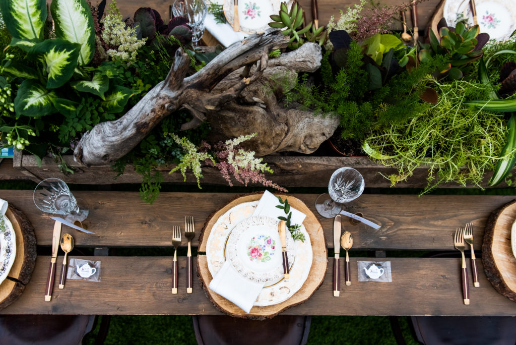 antique china with gold and wood flatware - the perfect setting for an outdoor wedding with green plants and driftwood as centrepieces