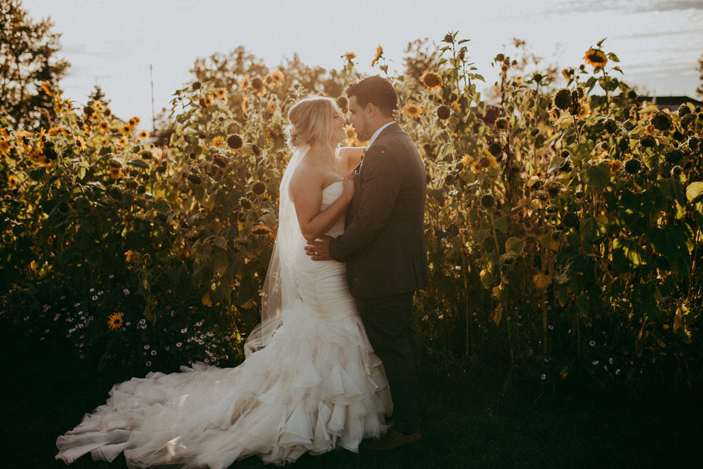 a couple stands in a sunflower garden while the fall sun casts a warm glow on them
