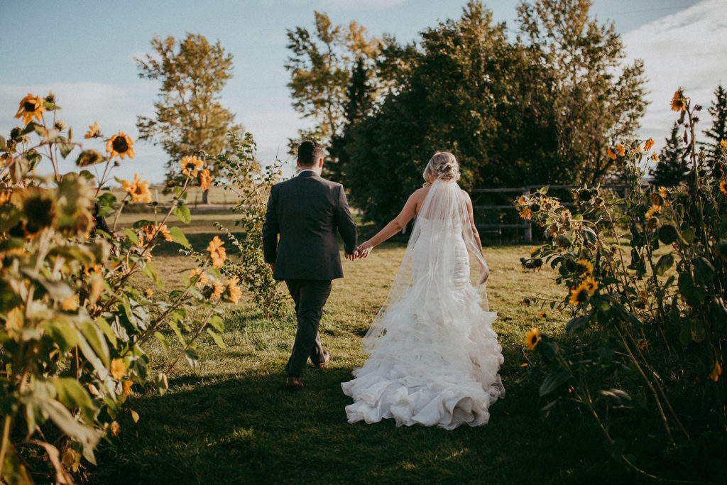 bride and groom walk hand in hand through a fall inspired sunflower path at this outdoor wedding venue in calgary alberta