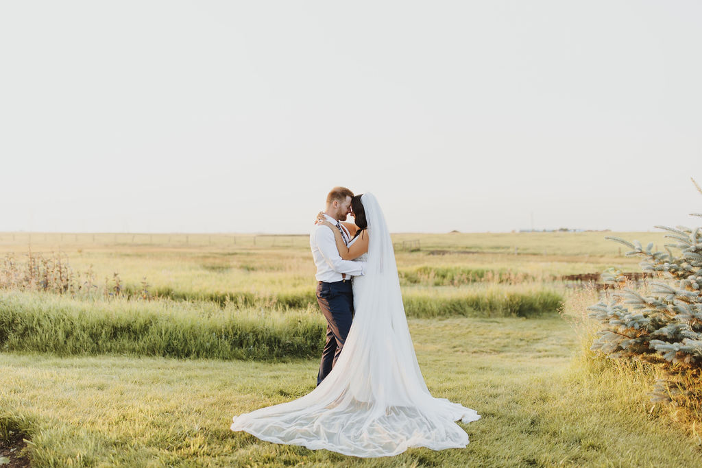 A bride and groom kissing in a grassy field.