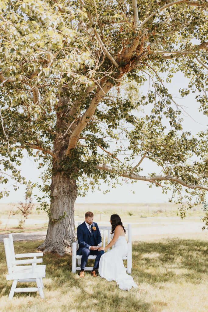 A bride and groom sitting under a tree. Outdoor Dinner Party 