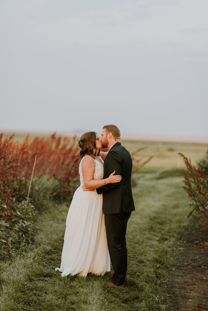 A bride and groom kissing in a field.