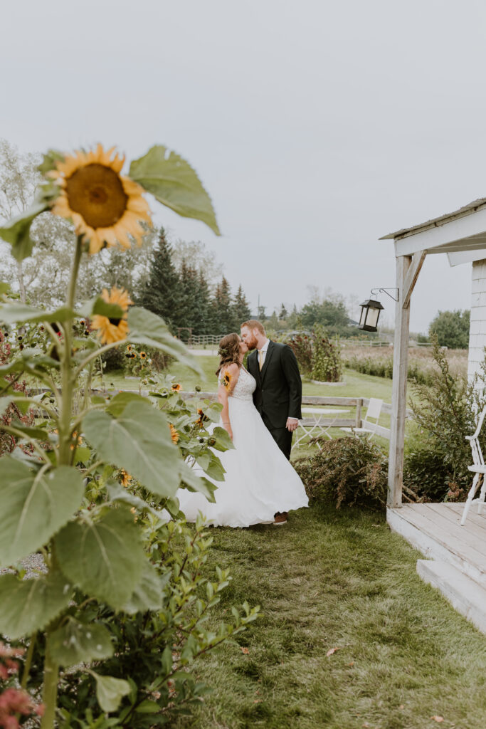 A bride and groom kissing in front of sunflowers.