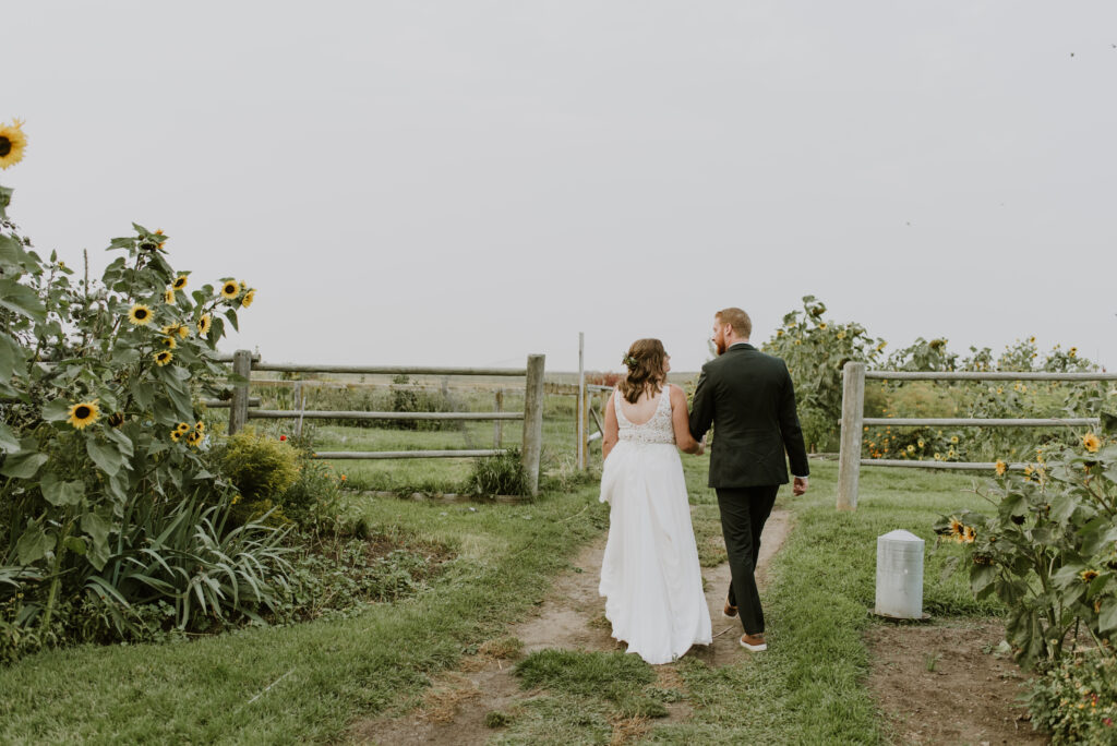 A bride and groom walking down a path with sunflowers in the background.
