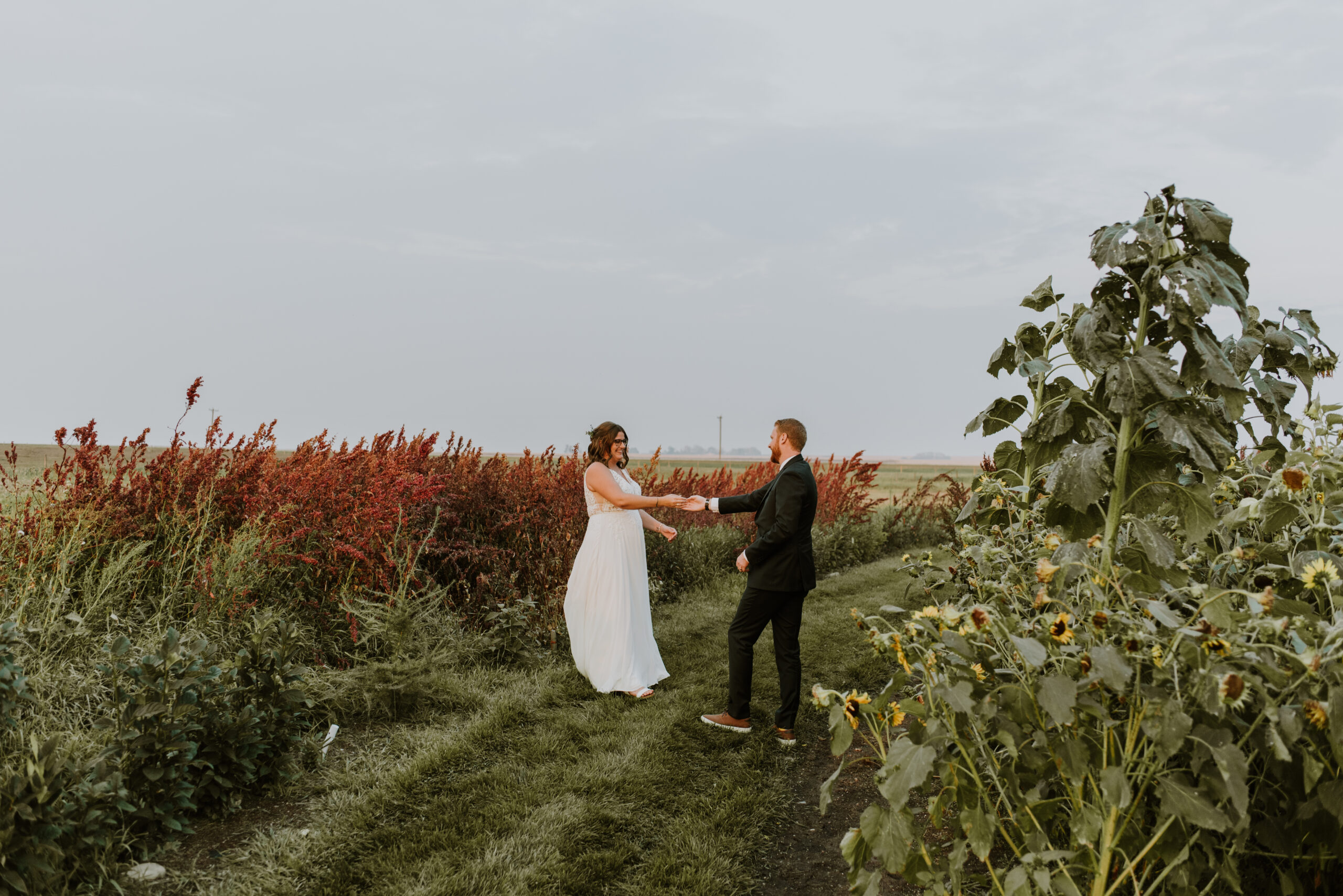 A bride and groom standing in a field of sunflowers.
