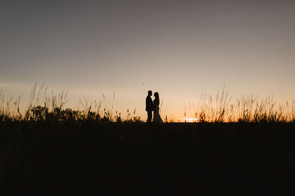 A silhouette of a couple standing in tall grass at sunset.