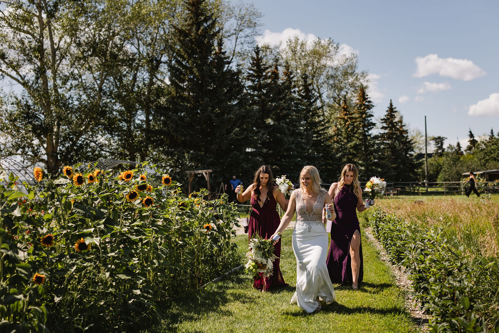 Two bridesmaids walking through a field of sunflowers.