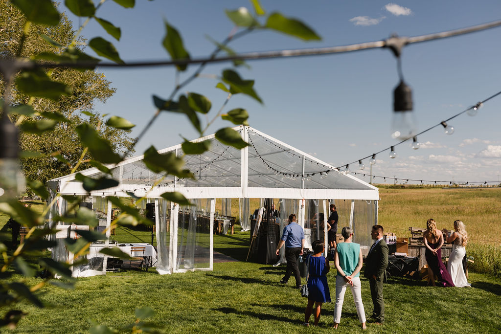 A wedding reception with a tent in the middle of a grassy field.