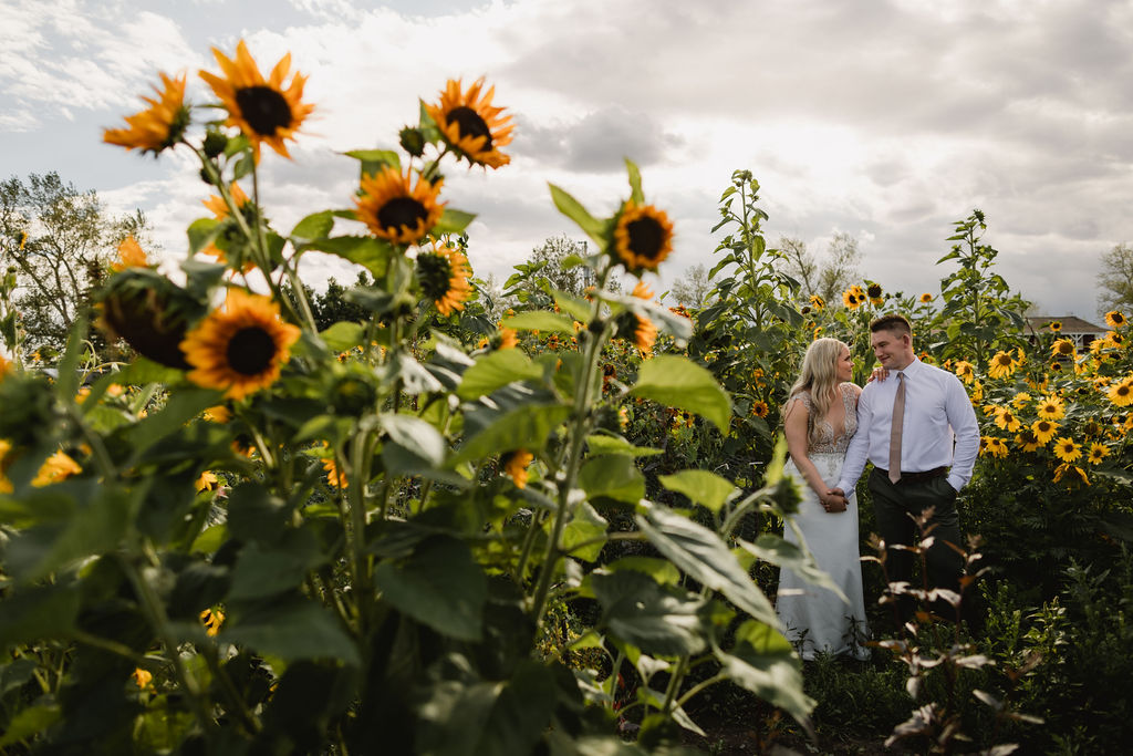 A bride and groom standing in a field of sunflowers.