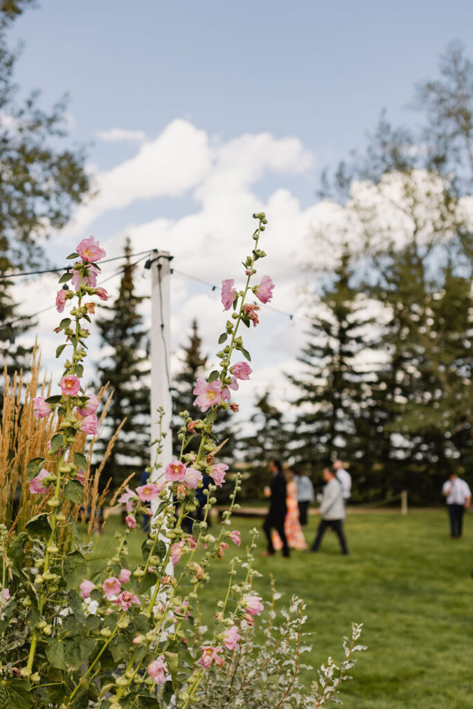 A wedding reception in a field with pink flowers.