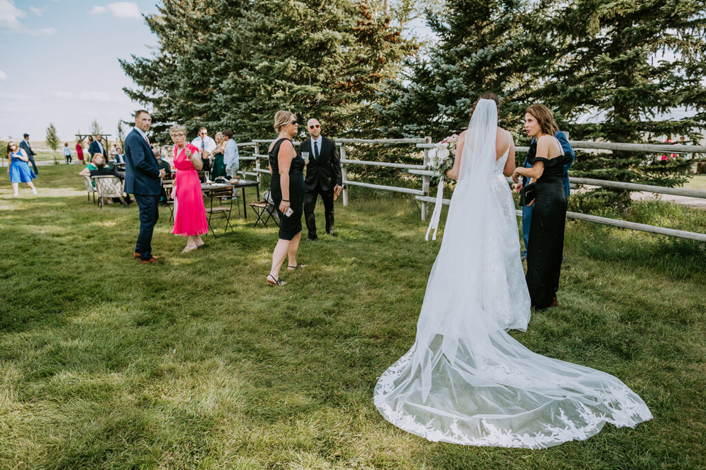 A bride in a white dress with a long veil converses with guests at an outdoor wedding event.