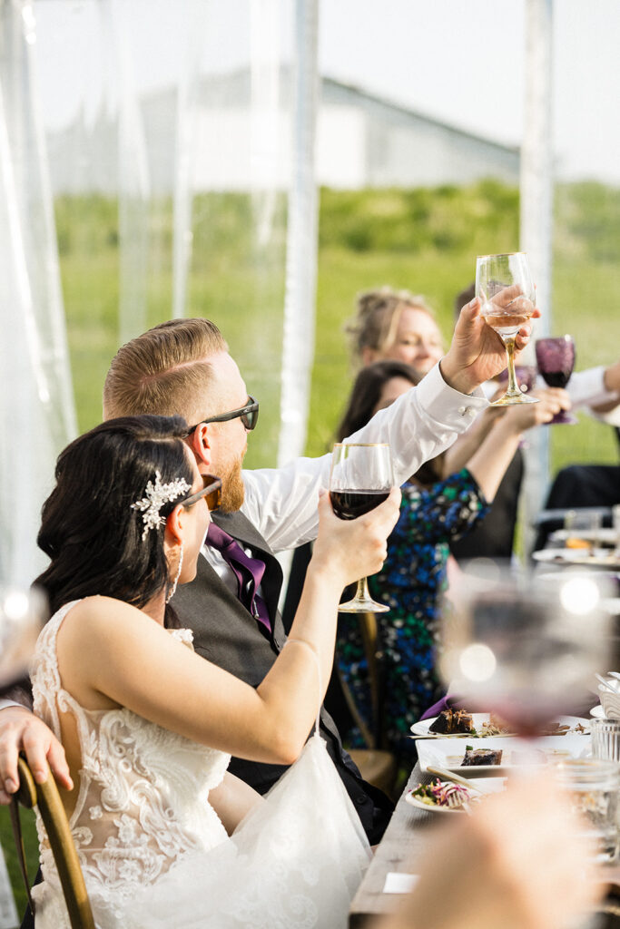 Bride and groom toasting with guests at a wedding reception.